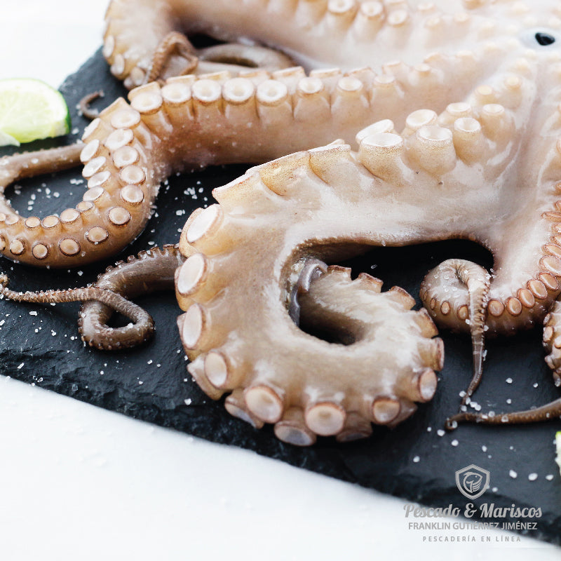 Acercamiento de los tentaculos de un pulpo entero
