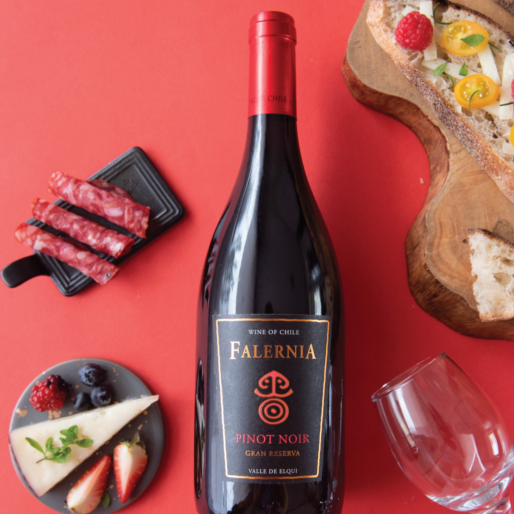 Falernia Gran Reserva Pinot Noir