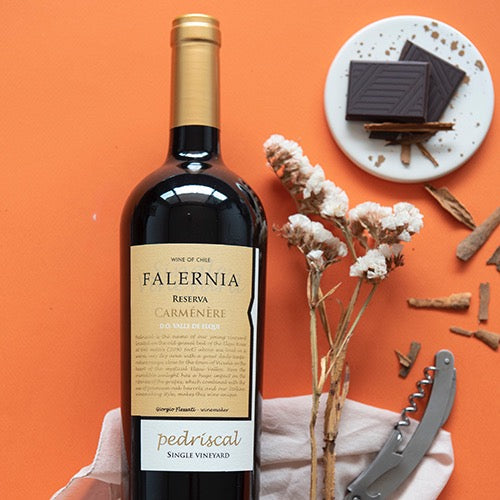 Falernia Reserva Carménère