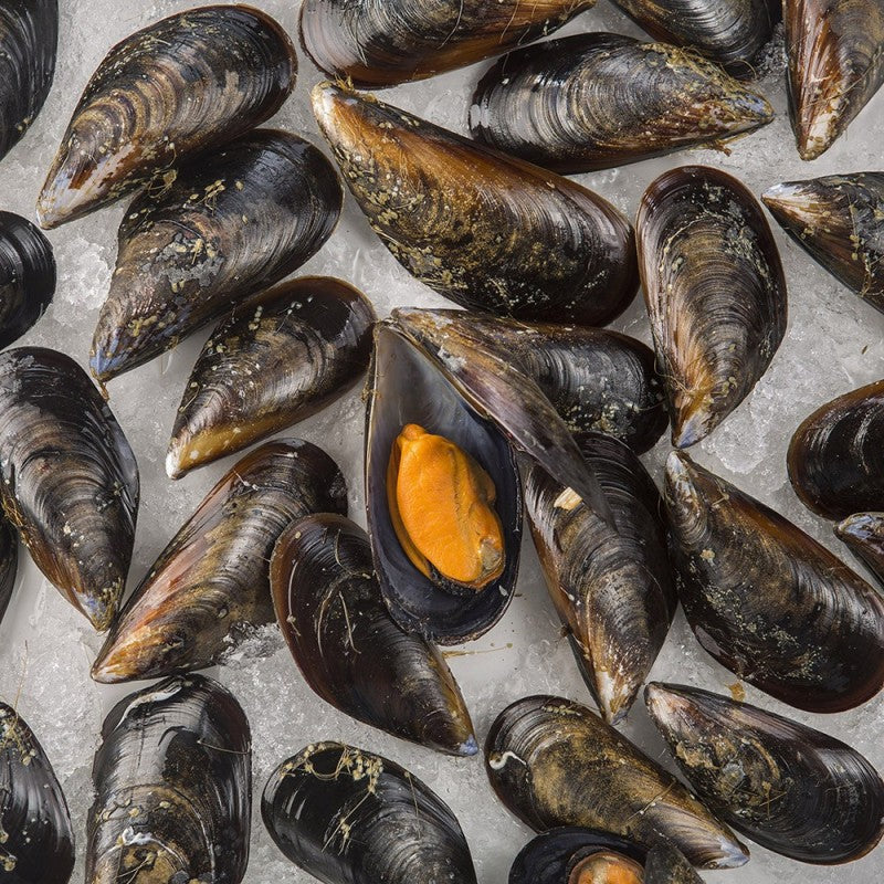 Mejillones sobre hielo