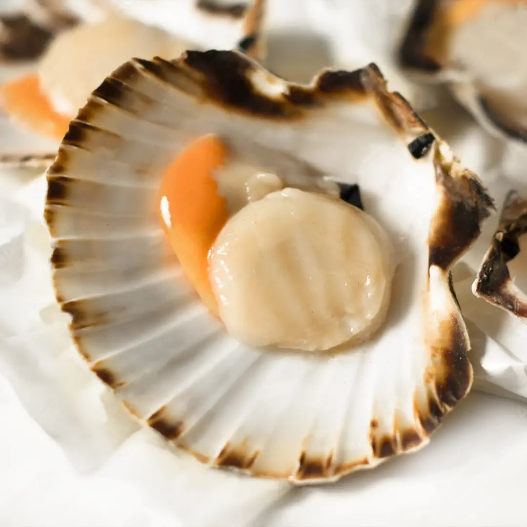 un acercamiento a una media concha de vieira